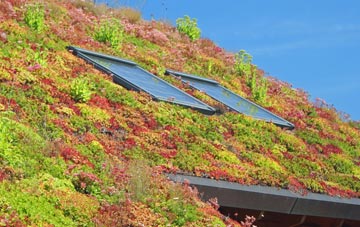 Tollesby living roof systems