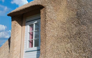 Tollesby thatch roof disadvantages